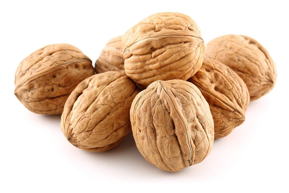 Premium Natural Walnuts in Shell 48 Oz Shell, Jumbo, 3 Pound