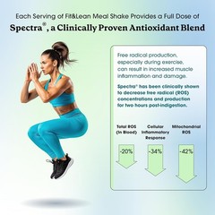 Meal Replacement Shake 1lb Chocolate Protein 28g Fiber Probiotics Gut Health