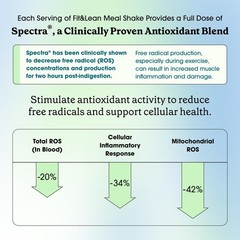 All-Natural Chocolate Meal Replacement Shake with Probiotics, 10 Servings