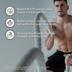 Creatine Stick Packs – Unflavored Micronized Creatine, Vegan, Non-Gmo, Gluten-Fr