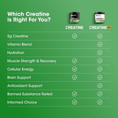 Creatine | Micronized Creatine Monohydrate Powder |Supports Strength & Recovery|