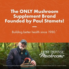 Host Defense Cordyceps Capsules – Immune & 60 Count (Pack of 1), Default