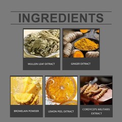 Herbal Leaf Extract Bio-organic for Lung Natural Lung Cleanse Drops Wild Mullein