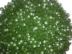 Chlorella tablets (pure) 1000-count, cold-pressed 100% raw, Raw Power, 250 grams