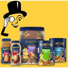 PLANTERS Salted Cashew Halves & Pieces, Party Snacks, 8 Ounce (Pack of 1)