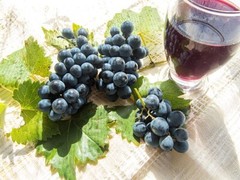 Wellness Fusion: RESVERATROL COMPLEX 1B 60 Caps – Age-Defying Formula