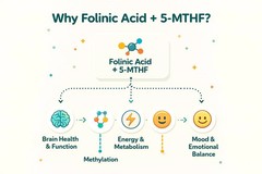 Folinic Acid Drops Methylfolate B12 B6 D3 Magnesium Brain Focus Support