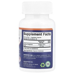 Bacillus Coagulans, 5 Billion CFU, 60 Vegetable Capsules