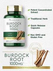 Carlyle Burdock Root | 1000 Mg | 200 Capsules Traditional Arctium Lappa Extract