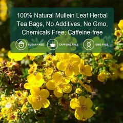 150Packs Mullein Leaf Tea Bags – Lung Cleanse Detox Herbal Enhance Immunity