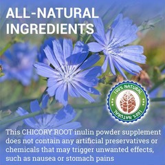 Chicory Root 160 Capsules – Prebiotic Supplement for Digestion, Immune Support