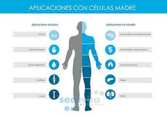 Celulas Madre Stem Cell Enhancer 60 Capsules + Cream 2oz AFA Extract Combo Pack