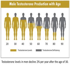 High T Testosterone Booster Supplement, 60ct.