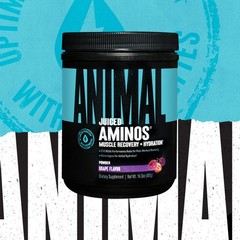 BCAA EAA Amino Acid Powder with Electrolytes & Sea Salt for Recovery – Grape, 30