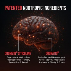 AllNatural Brain Supplement for Memory and Focus CaffeineFree LongTerm Cogni…