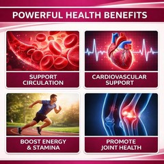 Beravia Organic Beet Root Capsules, Natural Beet Root for Daily Wellness and …