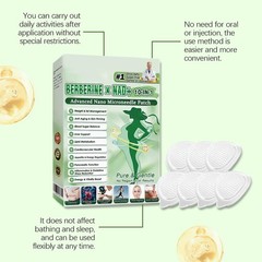 Premium Moringa Berberine 10-in-1 Advanced Nano Microneedle Patch (7pcs/box)