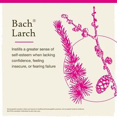 Bach Larch Remedy for Confidence 0.7 Fl Oz Doctor Developed Formula