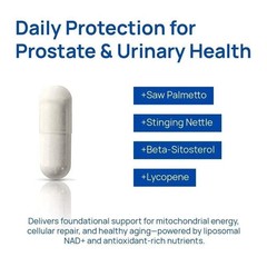 Selerb NAD+ Supplement designed for Men-With Liposomal-NAD+,CoQ10, L-Carnitine,