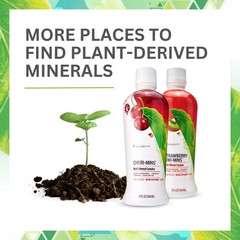 Youngevity Plant Derived Minerals Multi-Mineral Complex | Made from Humic Sha…