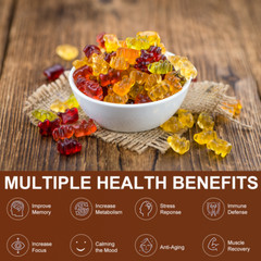 Mushroom Extract Complex Gummies Lions Mane Chaga Reishi Focus Memory Immunity