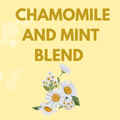 Cordial De Menper with Chamomile – 2 fl oz (2-Pack)