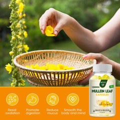 Mullein Leaf Capsules For Lung Cleansing & Detox Herbal 1500mg 60/120/240Caps