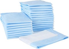 McKesson Underpads Disposable Bed Pads, Light Absorbency, Classic Incontinence