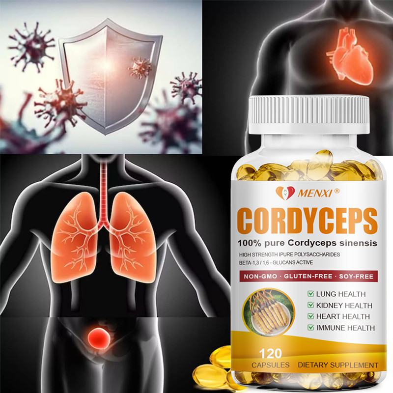 Cordyceps Sinensis 1000mg – Heart & Respiratory Health, Energy & immune Support
