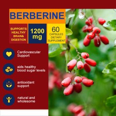 Berberine HCL 1200mg Cholesterol Blood Sugar Health General Wellness 60/120 Pcs