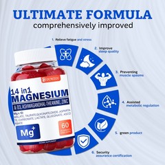 14 in 1 MAGNESIUM Plus – Vitamin D3 Ashwagandha Zinc and 10 Types of Magnesium