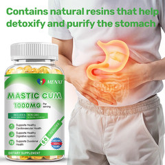 Natural Mastic Gum 1000mg Non GMO/Gluten Free Support Digestive Health 120 Caps