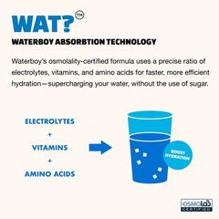 WaterBoy Daily Hydration, Strawberry Lemonade, Sugar Free Electrolytes Powde…
