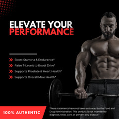 Erectifil Male Performance Support Extra Strength Supplement Tablets 4 Bottles