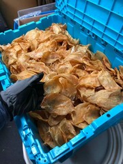 1磅装黄金鸡蛋花胶 1LB/Bag Size S Dried wild caught fish maw-U.S Seller