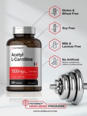 Acetyl L-Carnitine 1500mg | 200 Capsules | ALCAR | by Horbaach