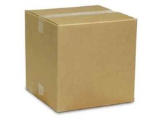 Garlic extract 10:1 (deodorization) 25kg