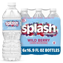 SPLASH REFRESHER Flavored Water Bottles, Wild 16.9 Fl Oz (Pack of 6), Clear