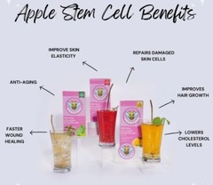 HUBBYBEE Premium COLLAGEN POWDER DRINK CALAMANSI & GREEN TEA (10 sachet/BOX)