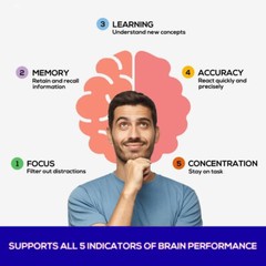 Ginkgo Biloba 120 Capsules Vitamins B6 B12 Improve Memory Focus Concentration