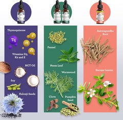 GuruNanda Total Wellness Boost – Liquid Ashwagandha, Black Seed Oil & GutCleanse