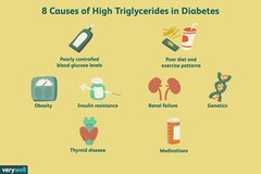 CHOLESTEROL BAD & HIGH TRIGLYCERIDES REMOVER & FLUSHER 90 PILL softgels