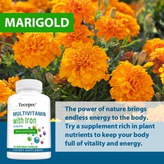 Multivitamin Easy To Swallow Capsule Immune Support Healthy Energy To Balance