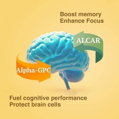 Brain Supplement 120 Caps for Memory and Focus – Cognitive Support, Caffeine