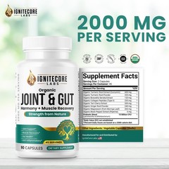 Organic Joint & Gut Supplement 2000mg Turmeric Collagen Probiotic 90 Caps
