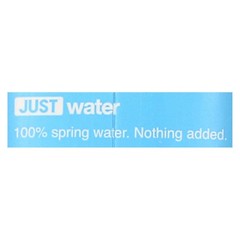 12 PCS 100% Spring Water Purified Drinking Bottled Water 16.9 Oz Carton