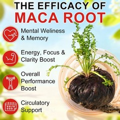 1-3 Packs Peruvian Maca Root Extract Capsules for Men & Women 120 Capsules