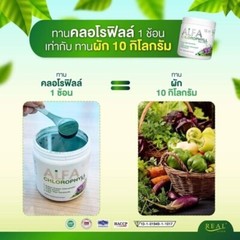 Real Elixir Alfa Chlorophyll Plus Diet Supplement Detox Anti Aging Rich Vitamins