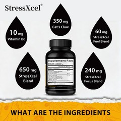 Brain Boost Nootropic Supplements Improve Cognitive Memory Mental Clarity 120 CT