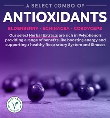 Healths Harmony Immune Support Supplement Elderberry Vitamin C and Zinc 60ct